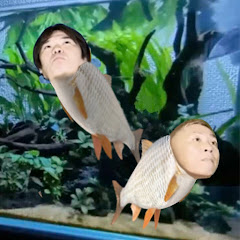 【公認】ナナフシギ・生フシギ怪談切り抜きチャンネル【雑談なし】