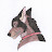 @BlackDog97