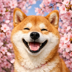 感動人生ドラマ館