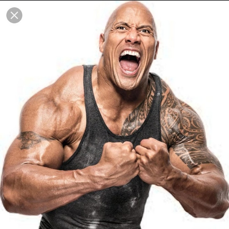 funny videos
