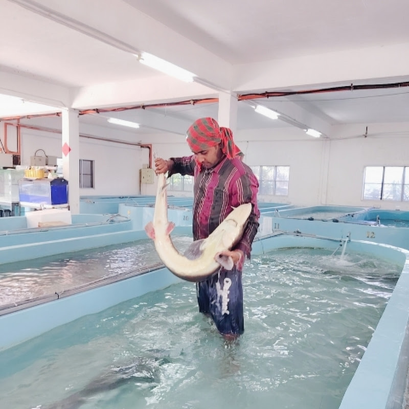 HAKIM FISHING WORLD 07