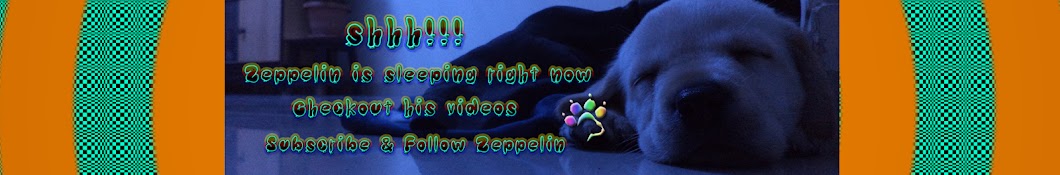 Zeppelin The Labrador رمز قناة اليوتيوب