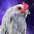 @SketchyEggs Avatar