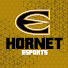 WNyin8T_ej4-channel-avatar-Hornet Esports