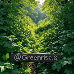 Greenrise