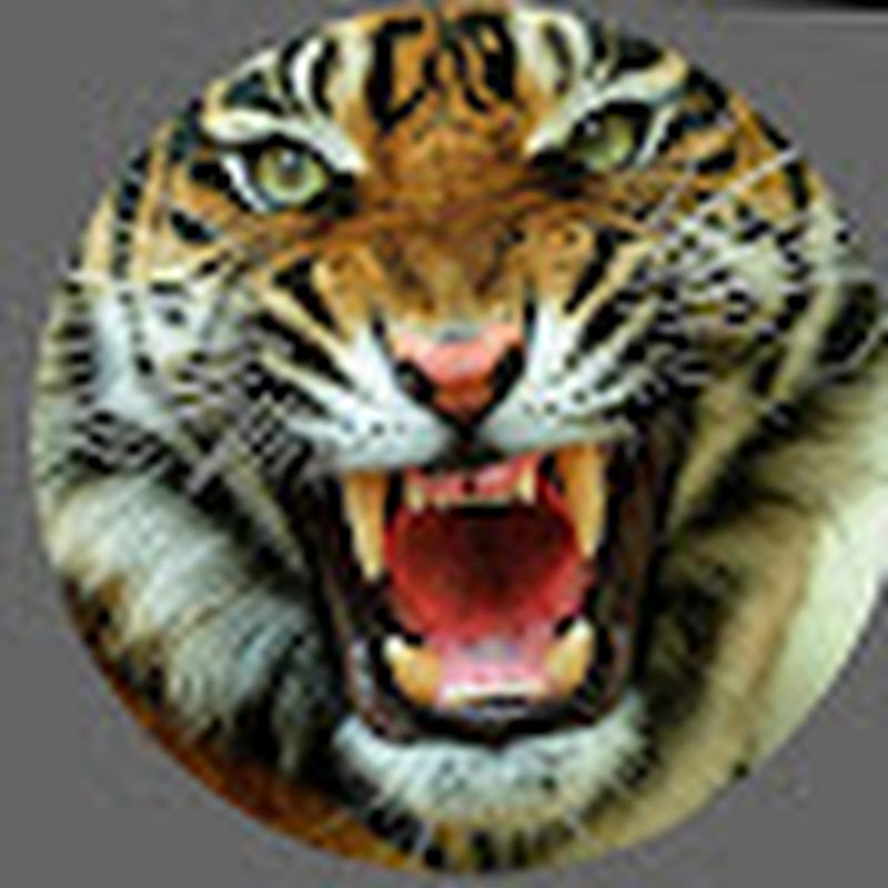 Hire Ankush creater  — Organization & Decluttering YouTube creator for sponsorships