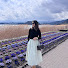 8LWOHn5IT4g-channel-avatar-Vanessa