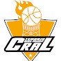 CRAL Dalmine Basket DIRETTA logo