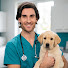 8lm-FVfY84w-channel-avatar-Pet Health with Dr. Clarke