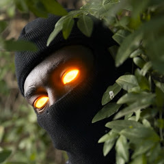 DANJA