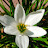 @sun-q2z