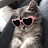 الصورة الرمزية لـ @KITTYLXR0w0