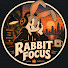 xL9DpJPPnBU-channel-avatar-Rabbit Focus 