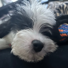 Diamond Grandma Avatar