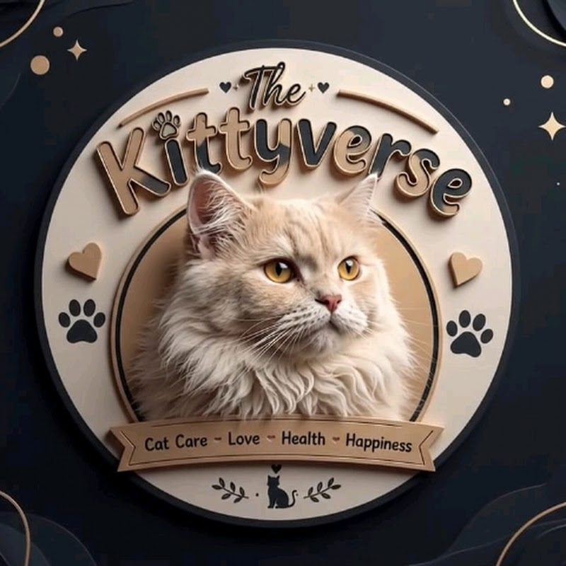 The Kittyverse