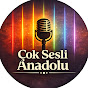 lN-SDHJF_sA-channel-avatar-Çok Sesli Anadolu