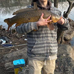 Basc carp n catfish