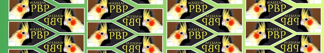 parrot breed point YouTube channel avatar