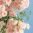 @달콩-e7j