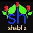 qeTEIqhddpE-channel-avatar-shabliz24