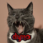 DynoVfr