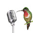 29lMb5SwEeA-channel-avatar-Gerações Criativas | EC Company