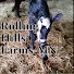NUPqFbpTwI8-channel-avatar-Rolling Hills Farms-MN