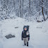 YCSGNeROI_w-channel-avatar-내사랑지리산 mylovejirisan