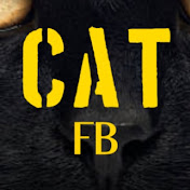 CAT FB