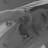 @AbdallhAbdel3aty