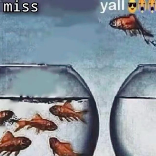 Post from Meme Tube