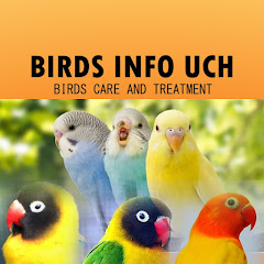 Birds Info Uch