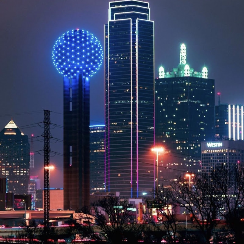 Dallas Social Butterfly