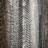 @Swarshik-moskou Avatar