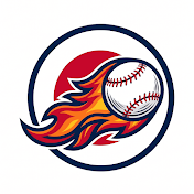 日本人MLBハイライト