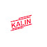 gdGG2d_TIs8-channel-avatar-KALIN COLLECTION