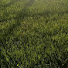 n9xQtzU6Bec-channel-avatar-Slykew