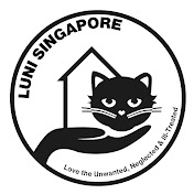 LUNI Singapore - Rescuing Singapore Cats 