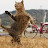 @user-czxs-fdd87H-zzs