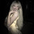 @shaimaa12345-m