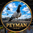 QoKvi8FmwnE-channel-avatar-peyman🕊️کشمکش