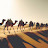 @مصريوافتخر769