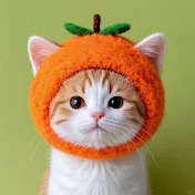 猫猫ショート
