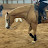 @tobi_the_horse4253