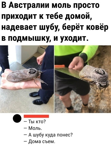 hldUuf5Knv4hBfdE-0sZQb08_Js5YHKXXvuZBg8YuZ9ocEOFkp4SdHwQPUp4335Kuygmlyx7rIvCTd0=s604-nd