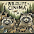 Wildlife Cinema