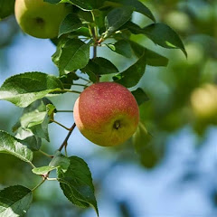 人生の教訓チャンネル