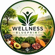 Wellness Blueprint