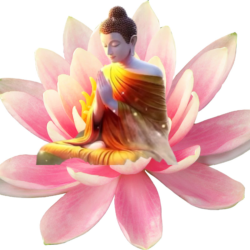 cuộc sống suy ngẫm