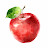 @izmi_owl